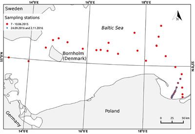 Study on Different Fractions of Organic Molecules in the Baltic Sea Surface Microlayer by Spectrophoto- and Spectrofluorimetric Methods